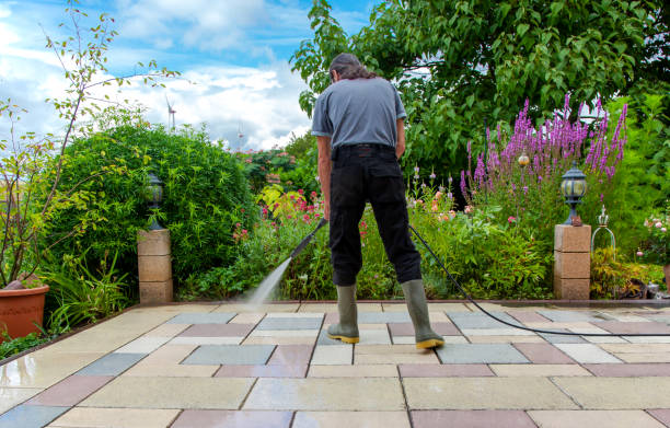 Animal Enclosure Cleaning in Mckee City, NJ